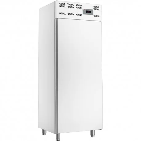 Vente Directe Armoire réfrigérée positive 600x400mm 500 litresWR-50WV-P | Diverso By Diamond