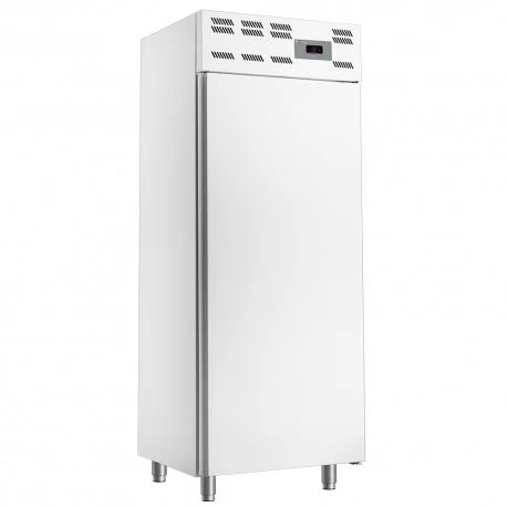 Prix Bas Armoire congelation 20x niveaux 600x400 500 LitresWR-50WS-N | Diverso By Diamond
