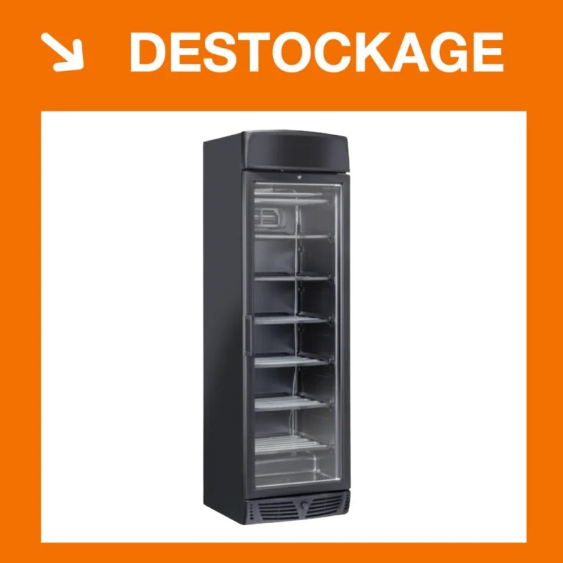 Armoire congélateur 300L. Noir – Avec Canopy | TNG390CB | COOL HEAD Populaire