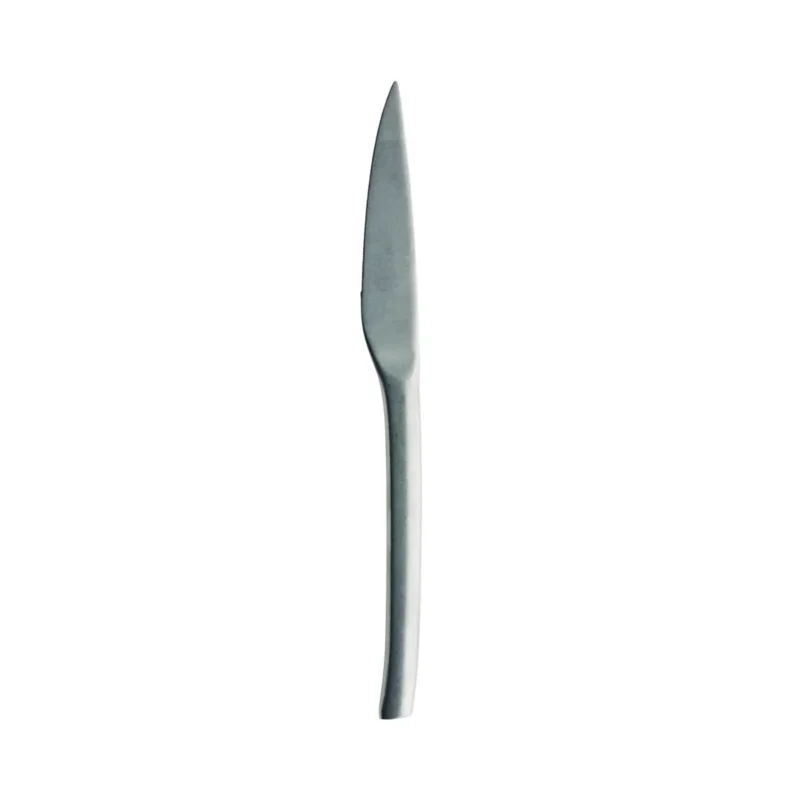 Couteau à dessert monobloc cranté 20,9 cm Guest Vintage Degrenne Vente Directe