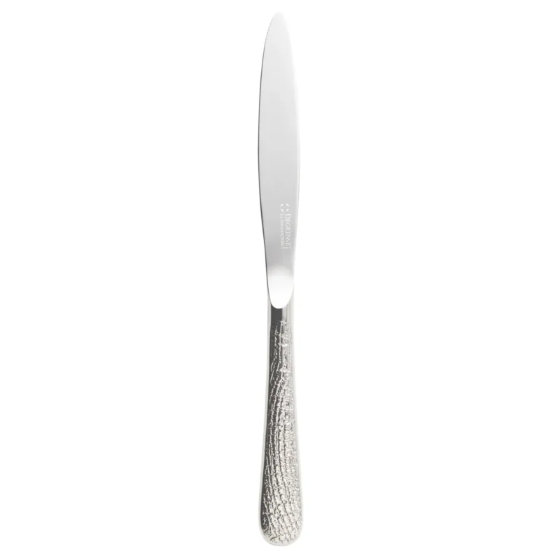 Prix Réduit Couteau de table monobloc 23,5 cm Aquatic Supernature Degrenne