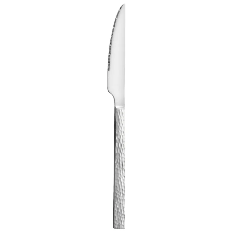 Couteau à dessert monobloc 20,6 cm Alma Pro.mundi Meilleure Vente