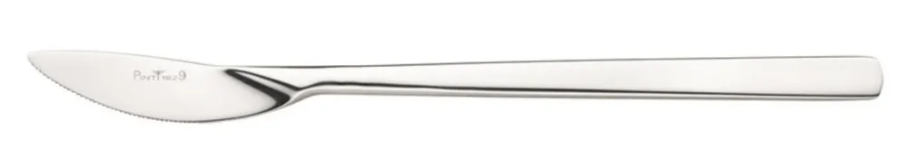 Couteau de table monobloc 24 cm Tecna Pintinox Dernier Modèle