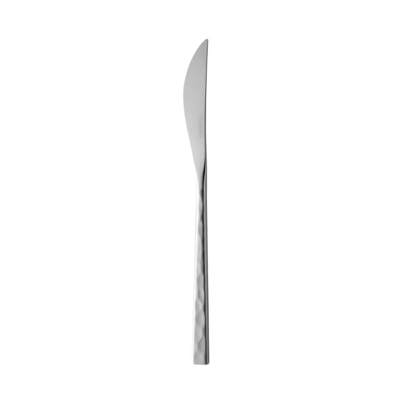 Couteau à dessert 19 cm Fuse Martele Degrenne Offre Du Jour