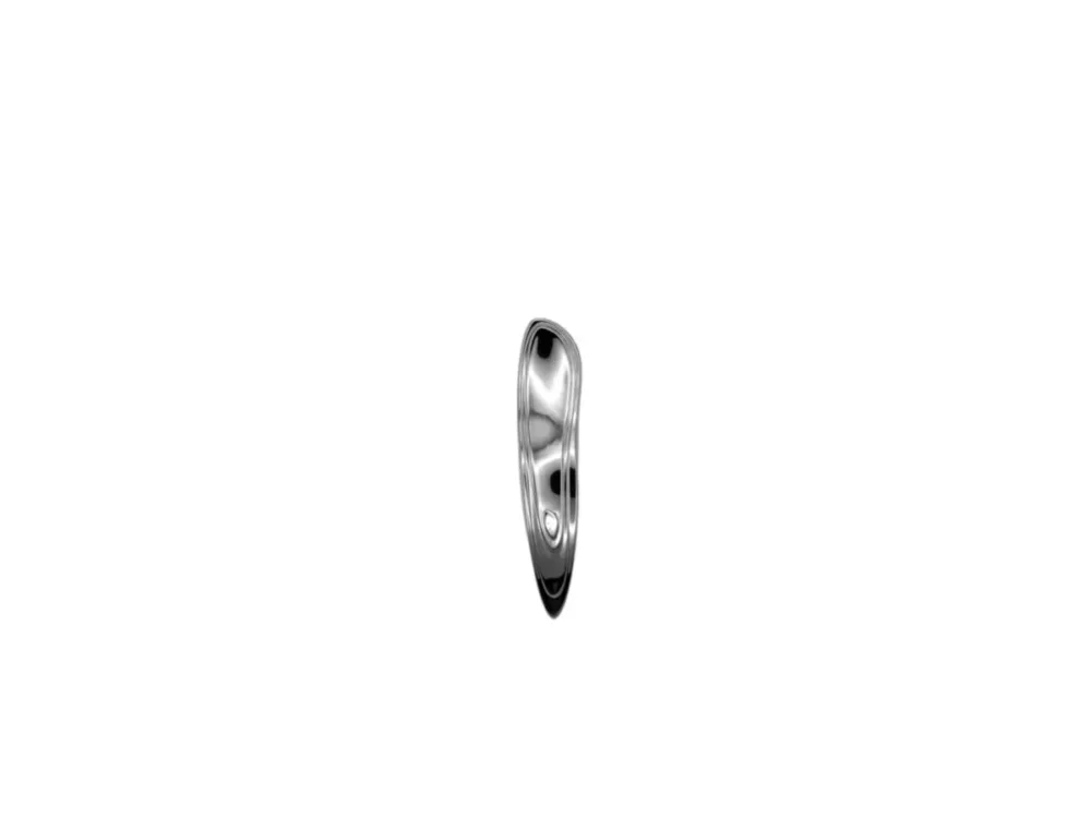 Livraison Gratuite Cuillère amuse-bouche plate droit inox 18/10 14,65 cm Caikos Rak