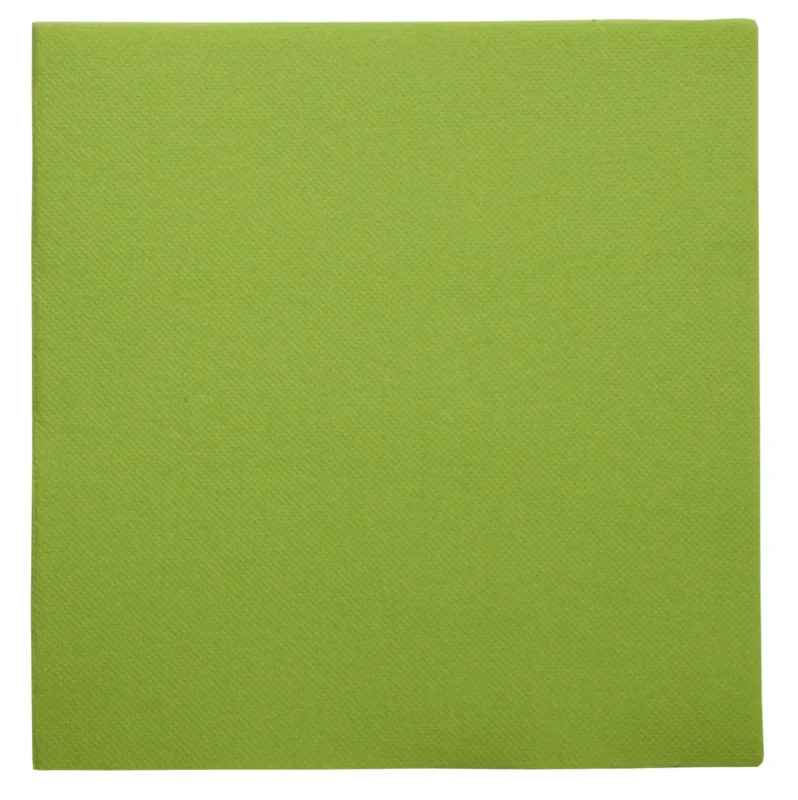 Acheter Direct Serviette vert granny ouate de cellulose 38x38 cm Lisah Pro.mundi (50 pièces)