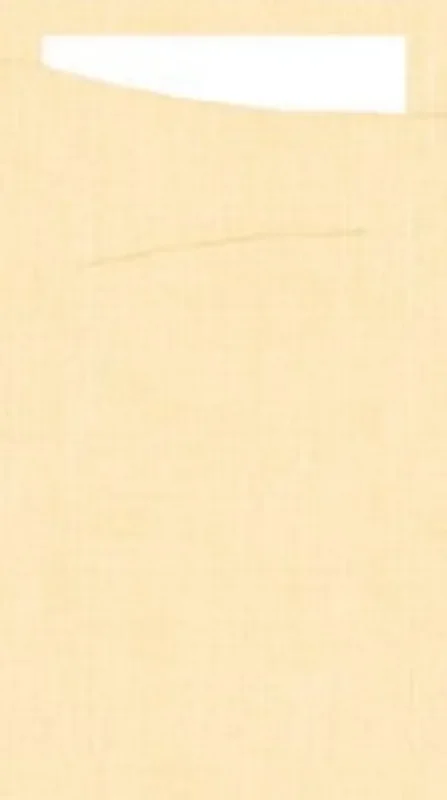 Pochette ivoire papier 23x11,5 cm Sacchetto Duni (60 pièces) Prix Promo