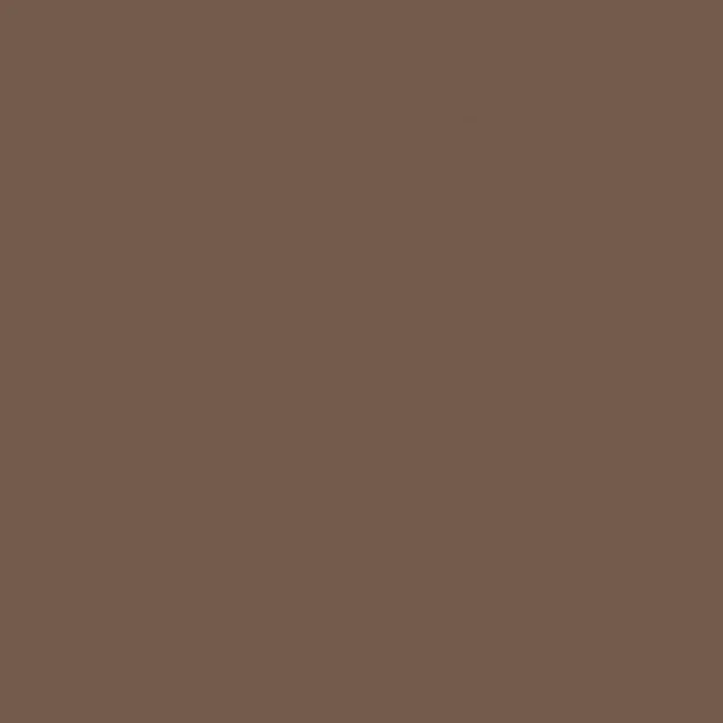 Serviette marron non tissé 20x20 cm pliée en 4 Dunisoft Duni (180 pièces) Offre Limitée