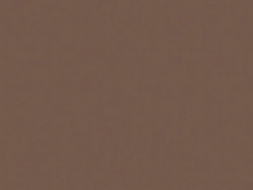 Usine Directe Set de table marron papier 35x45 cm Duni (250 pièces)