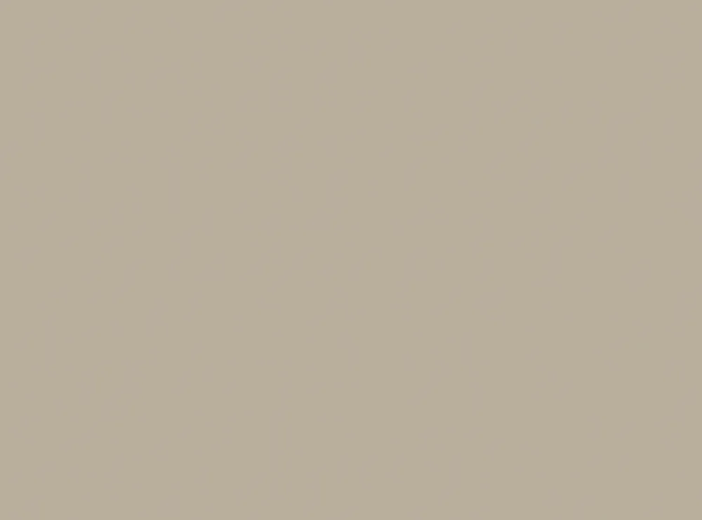 Commander Maintenant Set de table beige papier 35x45 cm Duni (250 pièces)