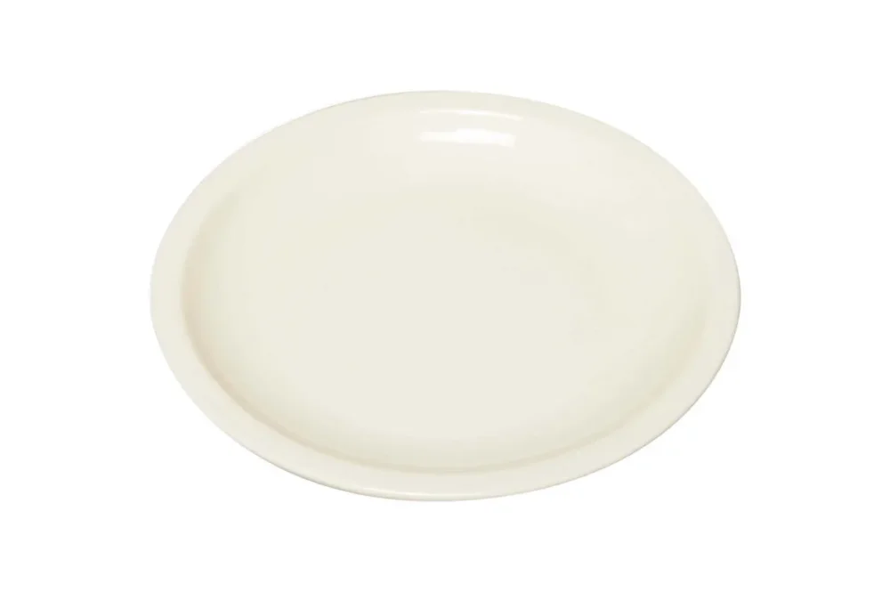 Offre Limitée Assiette régithermie rond ivoire porcelaine vitrifiée Ø 22,8 cm Hospital Rak