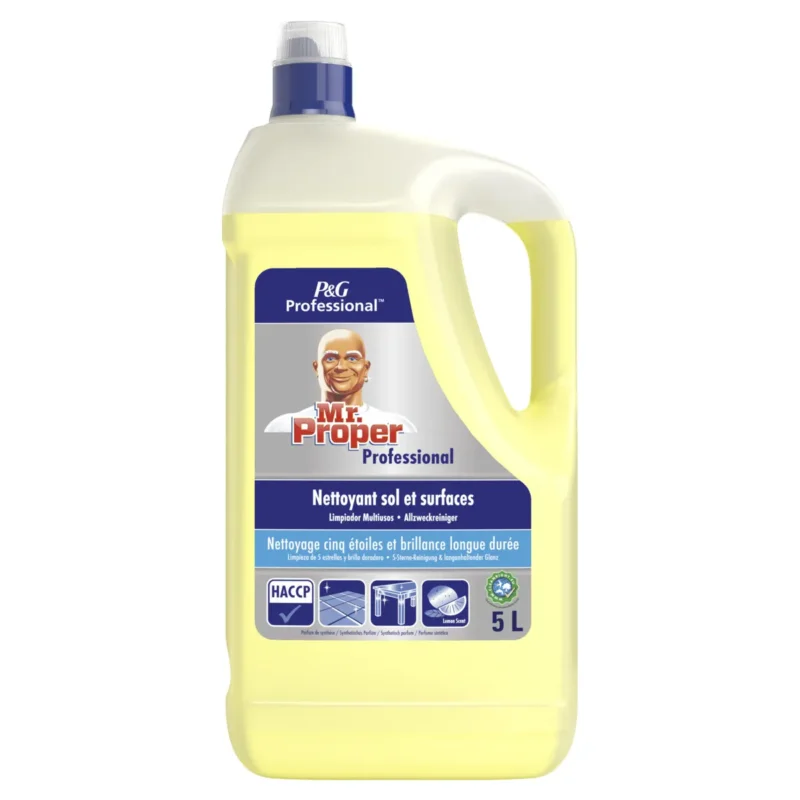 Certifié Nettoyant multi-surfaces 5 L Mr Propre (5 pièces)