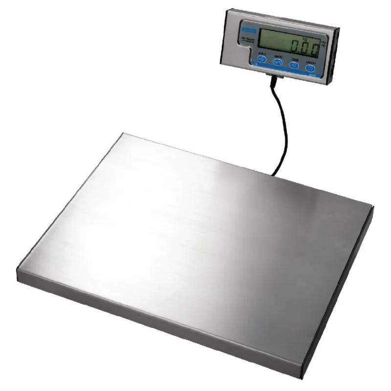 Offre Du Jour Balance Salter 120kg