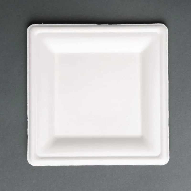 Acheter En Ligne Assiettes carrées compostables en bagasse Fiesta Compostable 261mm (lot de 50)