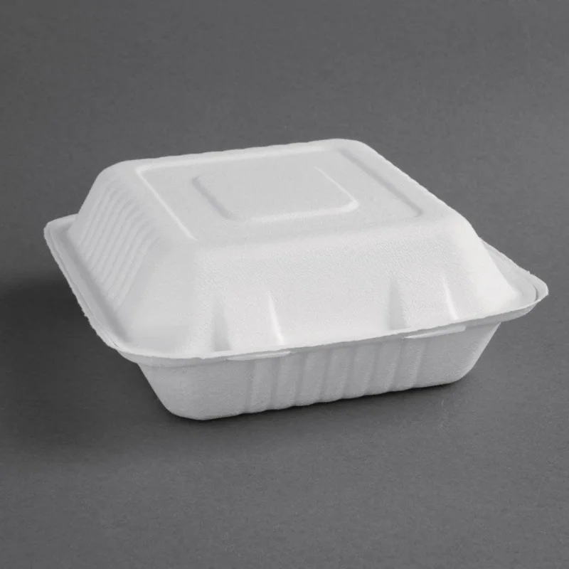 Boîtes avec couvercle à charnière Recyclables en bagasse Fiesta Recyclable 223mm (lot de 200) Expédition Rapide