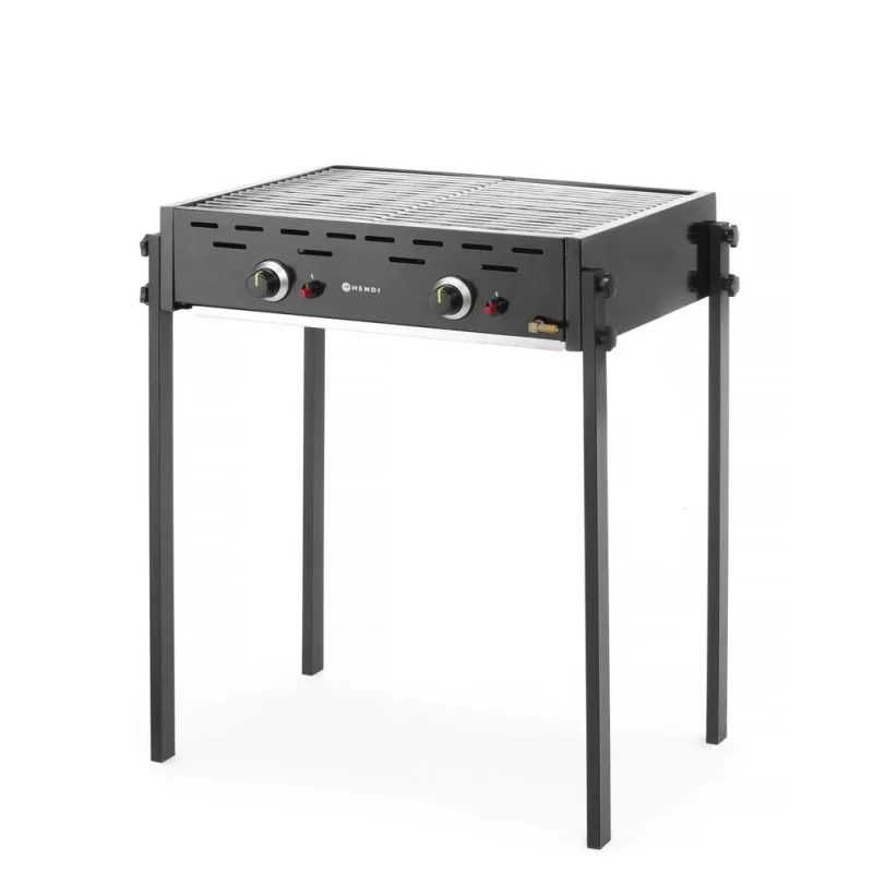 Barbecue 2 Brûleurs à Gaz Grill Nouveauté