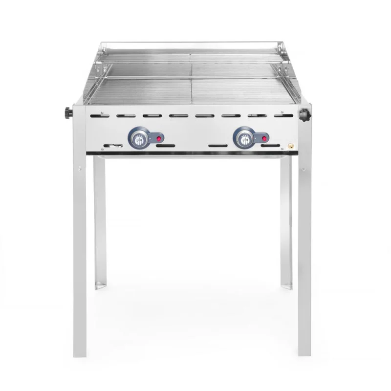 Barbecue à Gaz Professionnel Green Fire - 2 Brûleurs - Grille en Inox Meilleure Vente