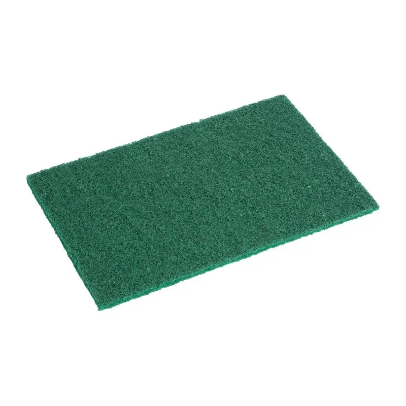 Seulement Aujourd’hui Tampon à Récurer Vert - 110 x 151 mm - Lot de 10