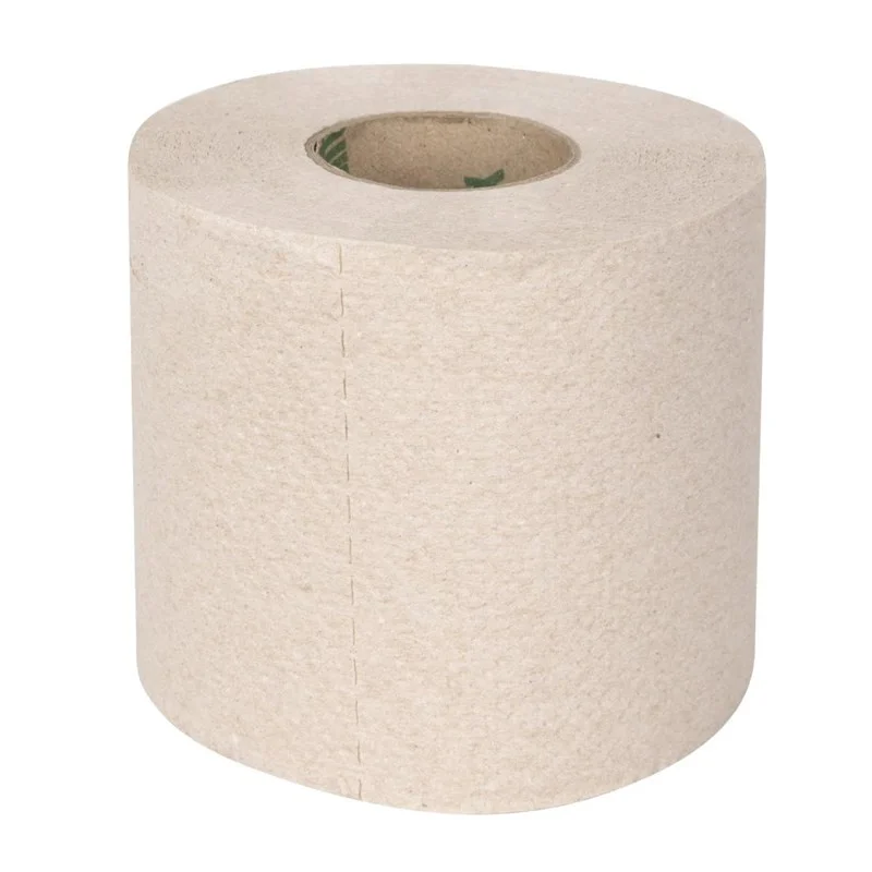 Prix Bas Rouleaux de Papier Toilette Recyclé 2 Plis 320 Feuilles - Lot de 36