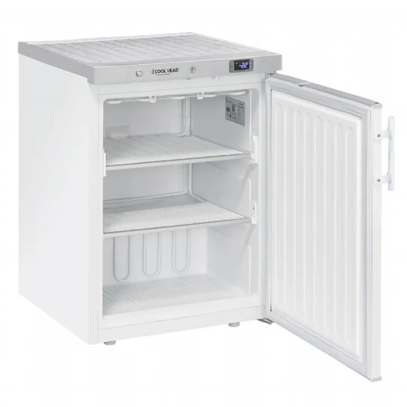 Promotion Congélateur négatif économique 1 porte abs 200l