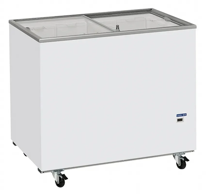 Acheter En Ligne Congélateur coffre blanc 2 vitres coulissantes 300l