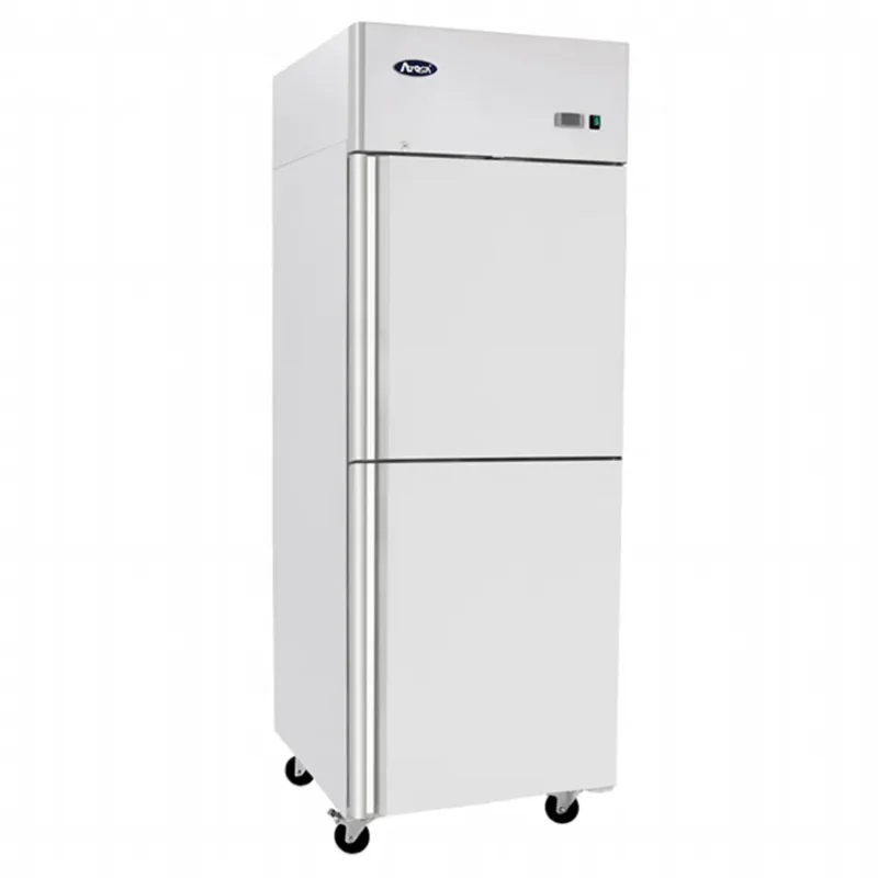 Armoire négative porte à 2 battants gn2/1 inox Certifié