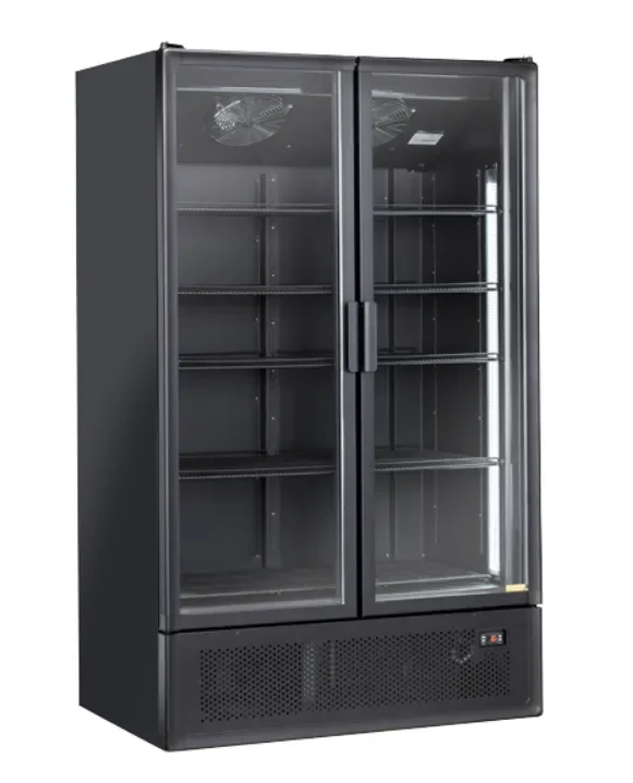 Armoire réfrigérée pour boissons noir 2 portes vitrées led1200l Prix Bas