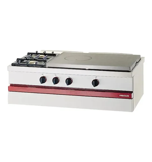 Prix Promo Fourneau à gaz 2 feux vifs et plaque coup de feu 650x500 mm à poser