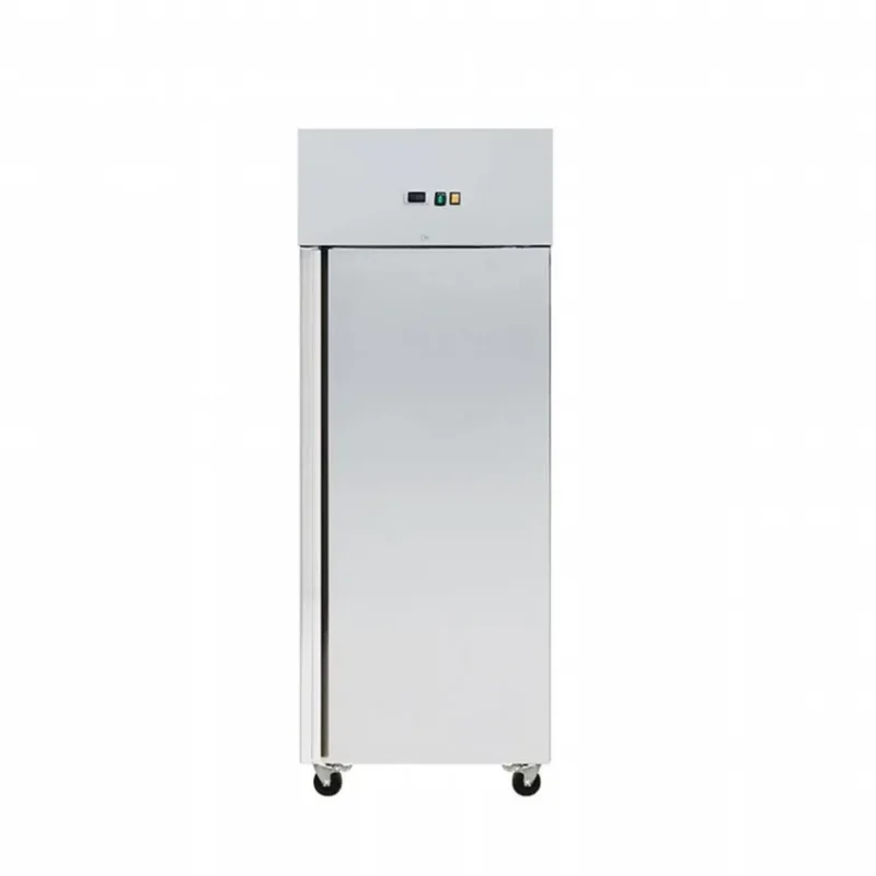 Soldes Armoire réfrigérée professionnel 1 porte ventilée negative -18°c/-22°c 525 l