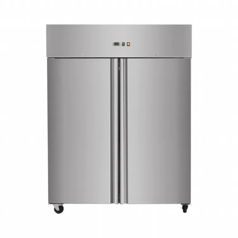 Armoire réfrigérée professionnel 2 portes ventilée negative -18°c/-22°c 1145 l Offre Limitée