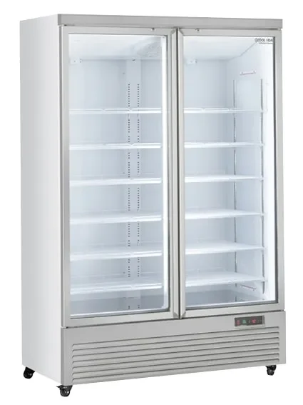 Armoire à boissons 2 portes vitrées 1000 litres 1253x740x2040 mm Dernière Chance
