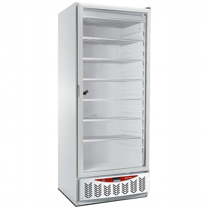 Top Vente Congélateur pro statique gn 2/1 et 600x400 avec 1 porte vitrée 525 litres - 750x740x1900 mm