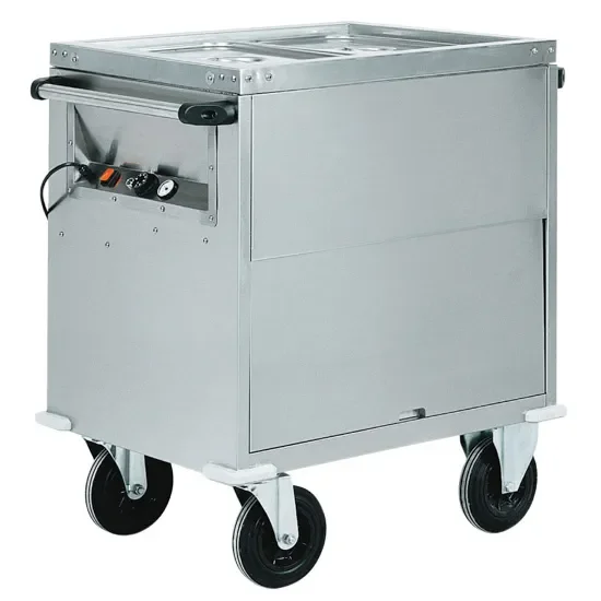 Chariot bain-marie sur armoire chauffée inox 2 températures avec 2x gn 1/1 h 200 mm Acheter Direct