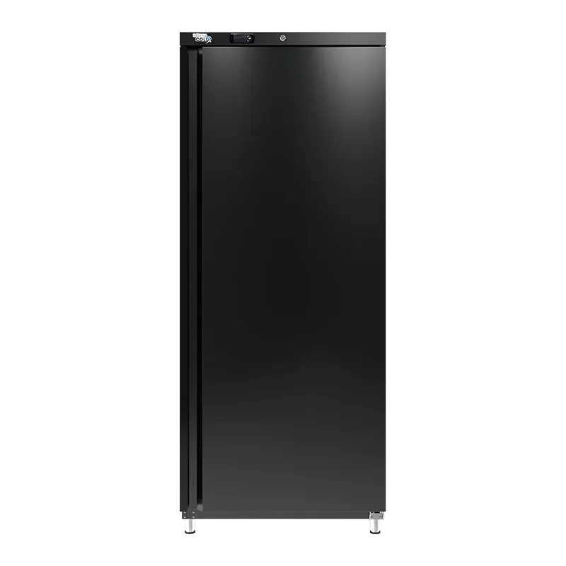 Armoire réfrigérée positive - finition extérieure noire - 600 l Remise