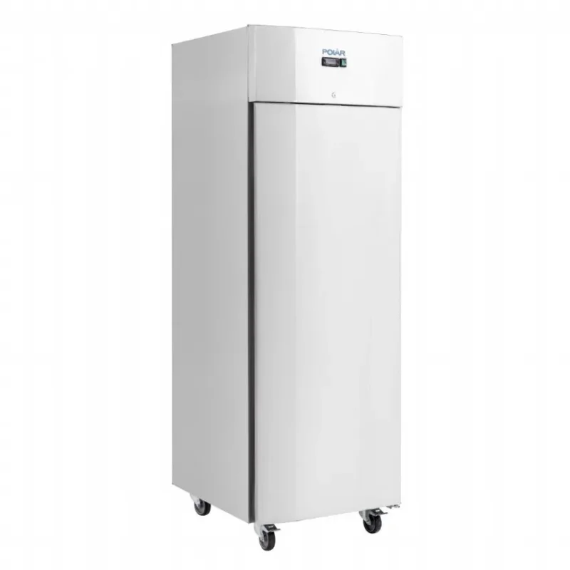 Remise Armoire réfrigérée négative 1 porte battante et 26 niveaux 700 litres - 700x810x2150 mm