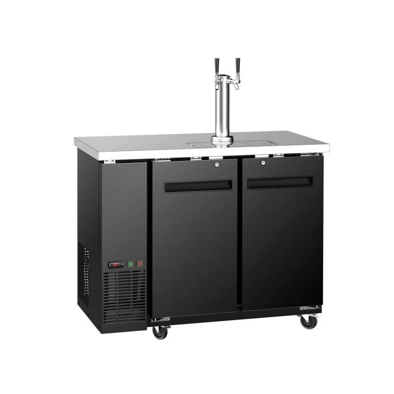Quantité Limitée Tireuse à bière professionnelle 2 robinets
