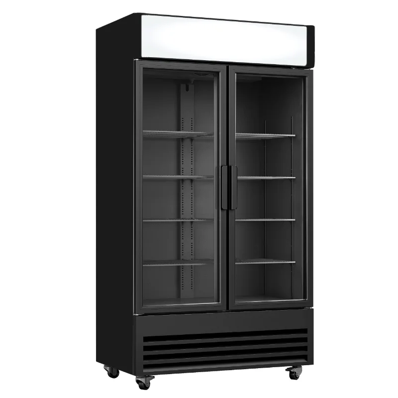 Armoire à boisson 2 portes battantes avec canopy - 706 litres Achat Immédiat